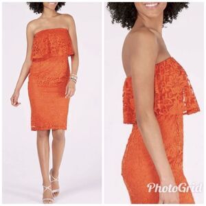 THALIA SODI Strapless Lace Cocktail Dress Medium Orange Midi Cocktail‎ Party New